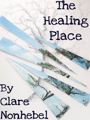cover image of The Healing Place